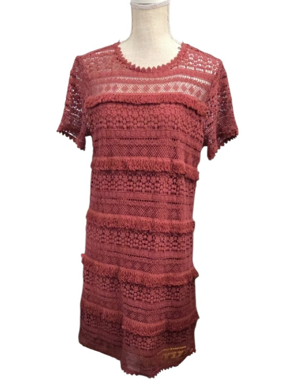 O2Sky Anthropologie Open Crochet Fringed Dress in Rust - Picture 2 of 6